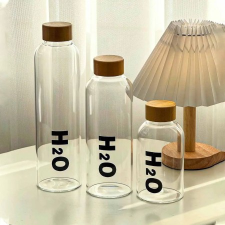 H2O Glass Water Bottle